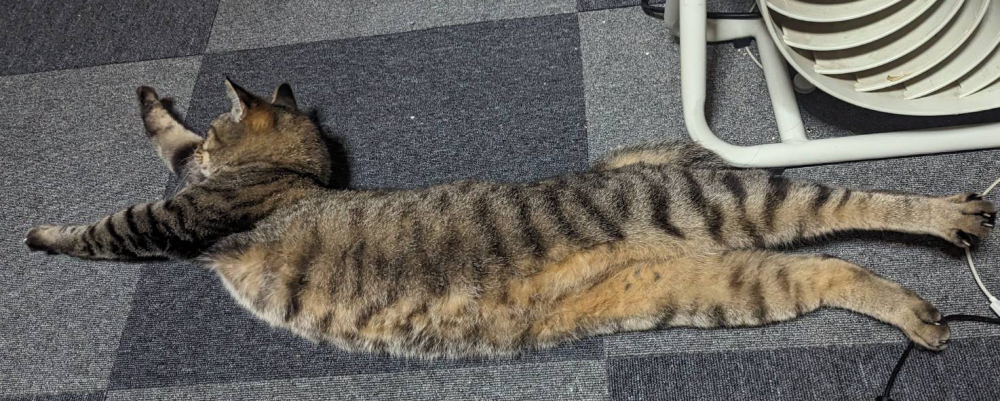 有限会社まなびや